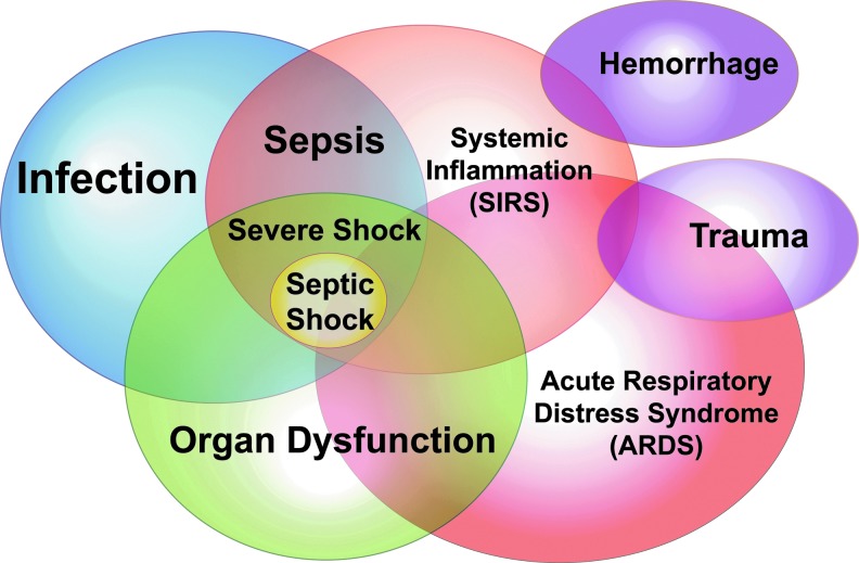 FIG. 1.