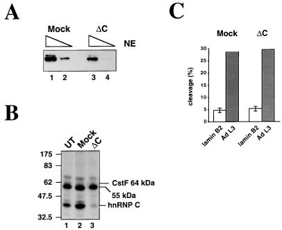 FIG. 6