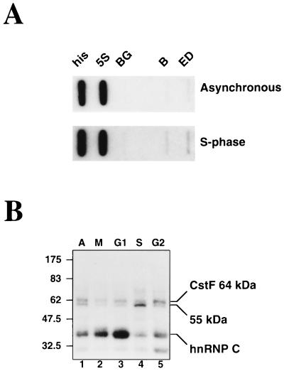 FIG. 7