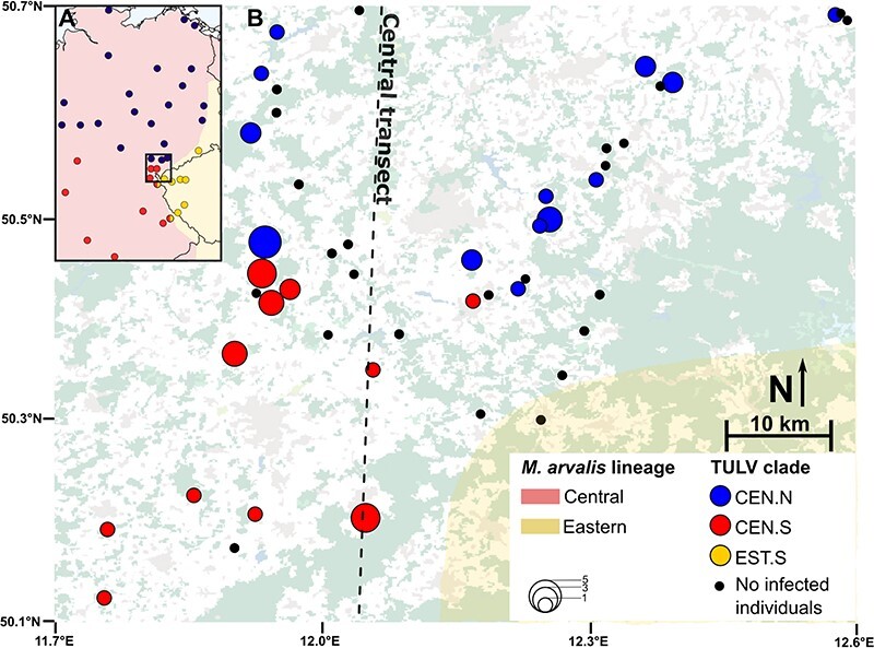 Figure 1.