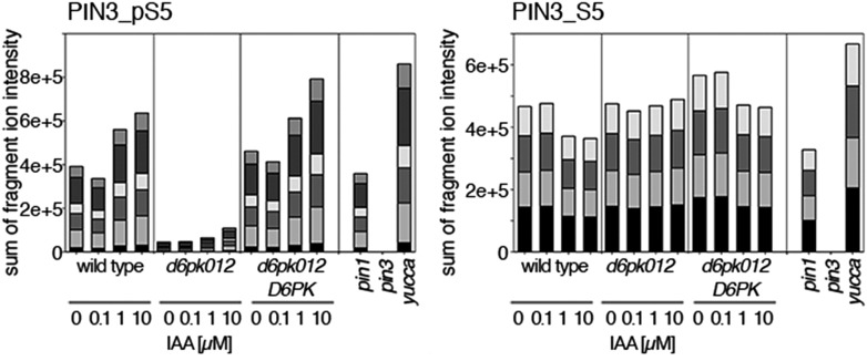 Figure 10—figure supplement 3.