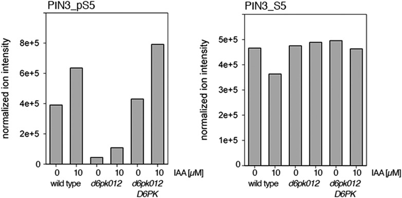 Figure 7—figure supplement 3.