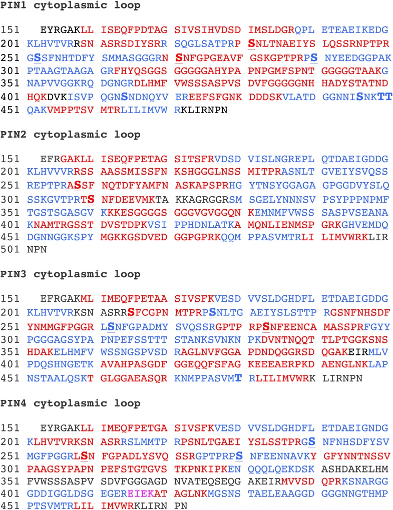 Figure 3—figure supplement 1.