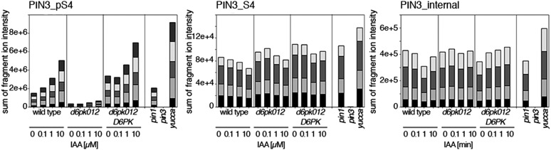 Figure 10—figure supplement 1.