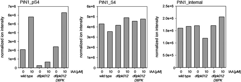 Figure 7—figure supplement 1.