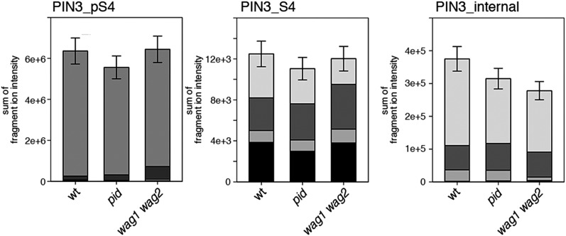 Figure 8—figure supplement 3.