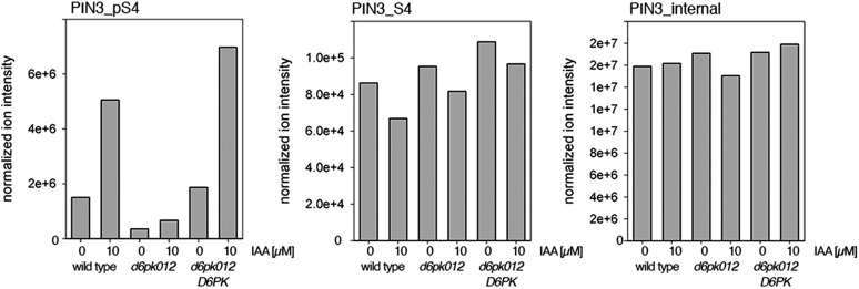 Figure 7—figure supplement 2.