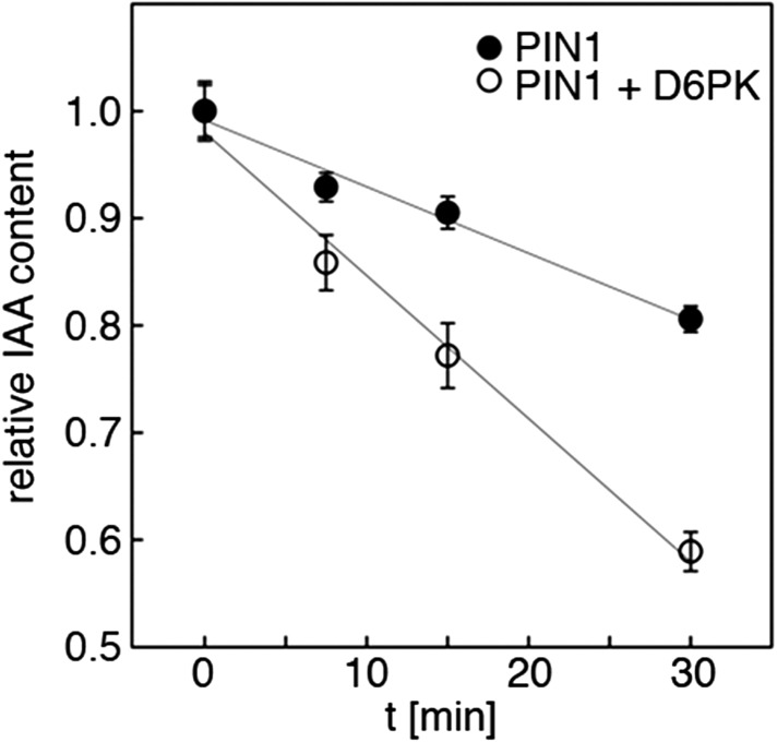 Figure 5—figure supplement 1.