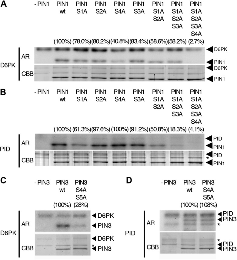 Figure 4.