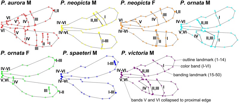 Fig 4