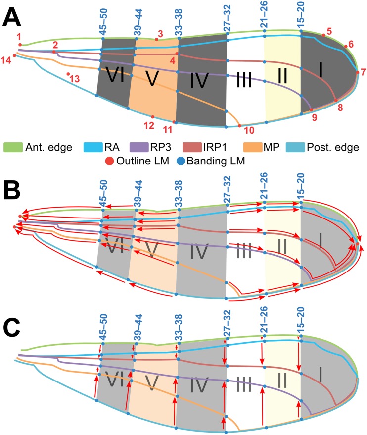 Fig 3