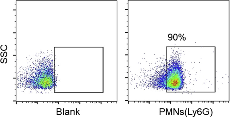 Supplemental Fig. S1