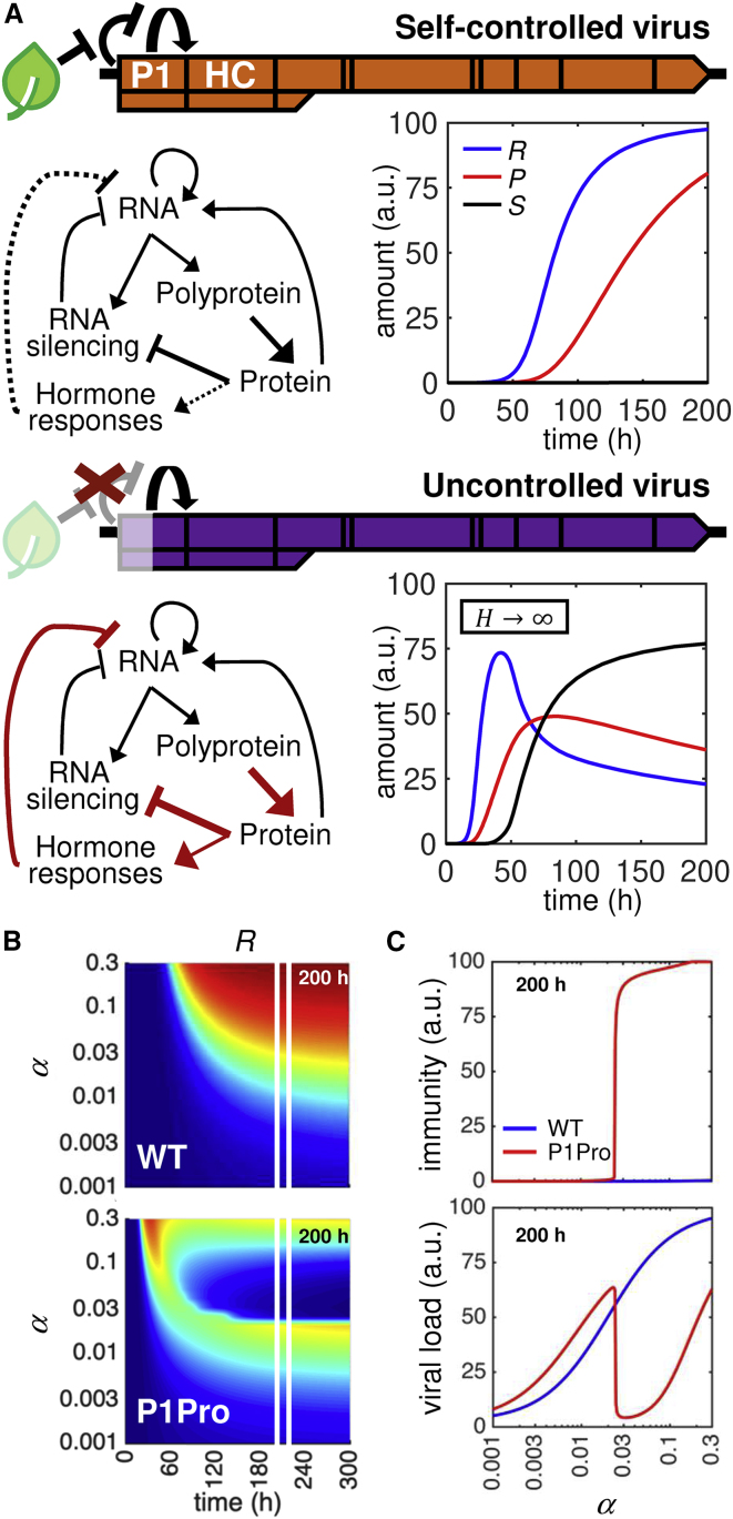 Figure 6