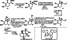 Scheme 3