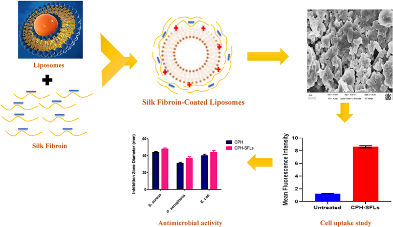 Ciprofloxacin hydrochloride-loaded ocular silk fibroin liposomes ...