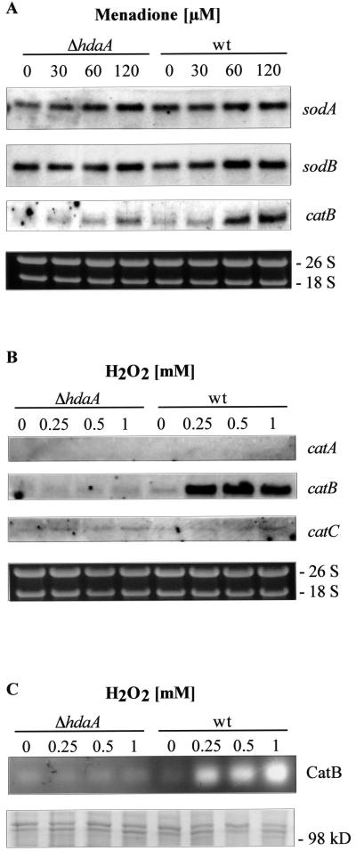 FIG. 5.