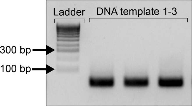 Figure 4