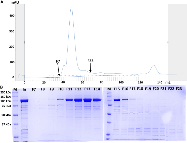 Figure 10