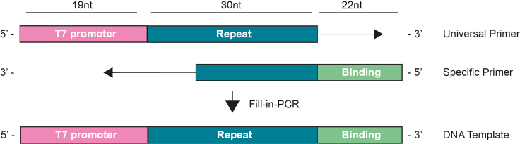 Figure 3