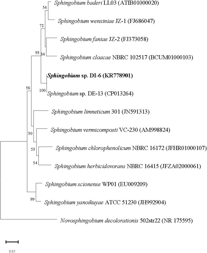 FIGURE 1