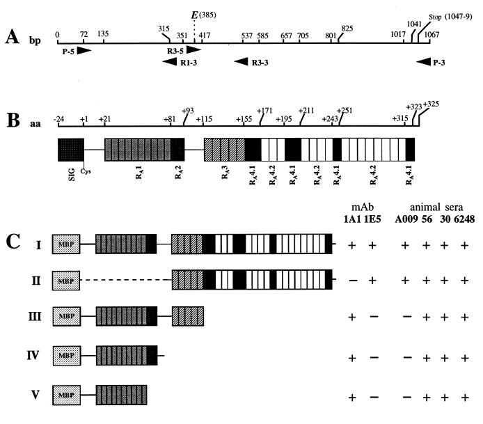 FIG. 1