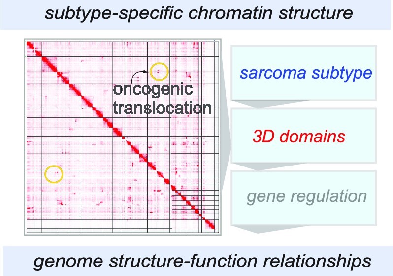 Graphical Abstract