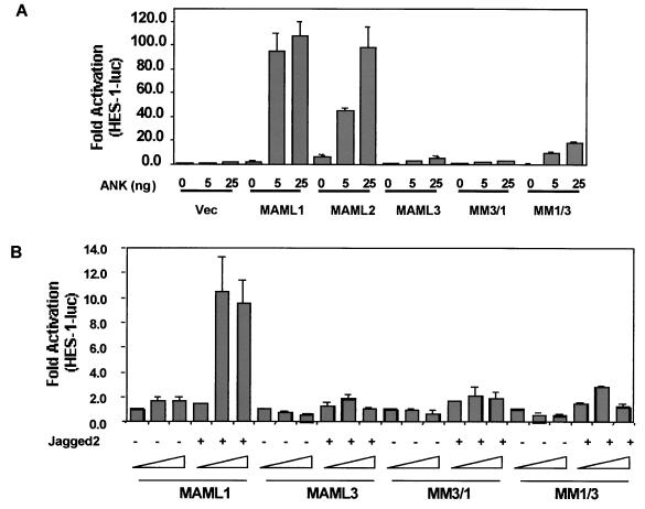 FIG. 9.