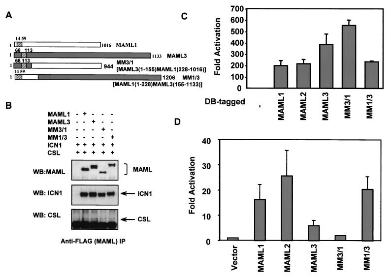 FIG. 8.