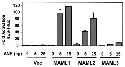 FIG. 7.