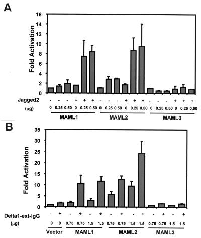 FIG. 5.