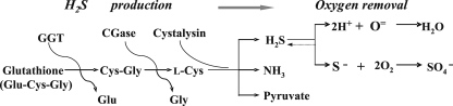 FIG. 7.