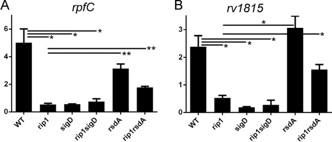 FIG 4