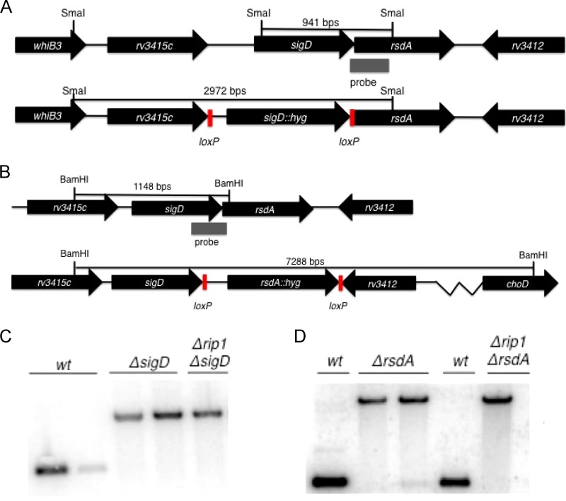 FIG 3