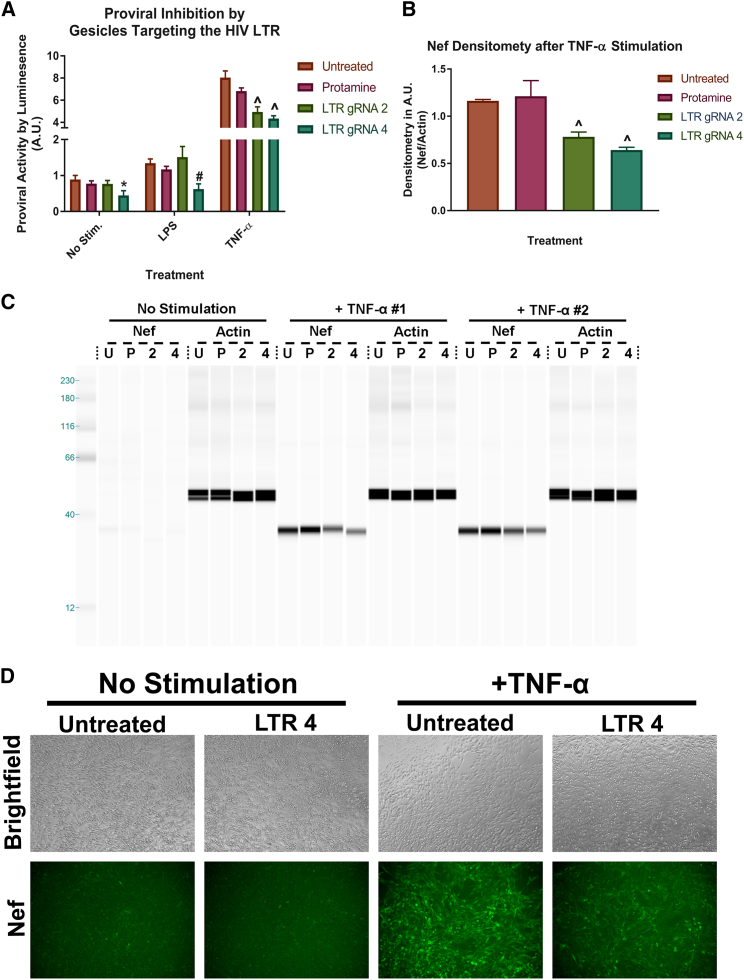 Figure 6