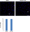 Figure 2—figure supplement 1.