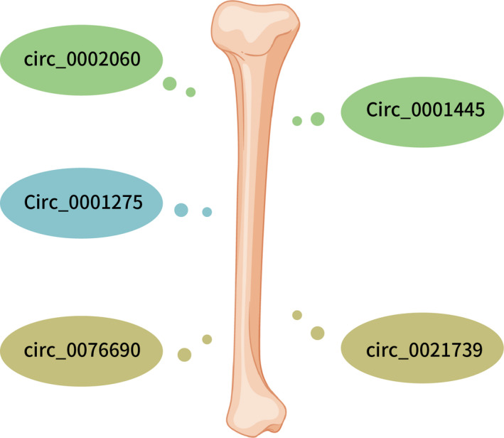 FIGURE 3