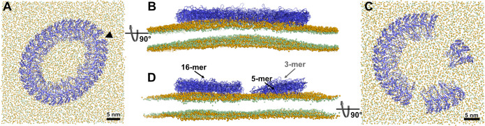 Figure 2—figure supplement 1.