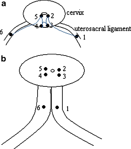 Fig. 1