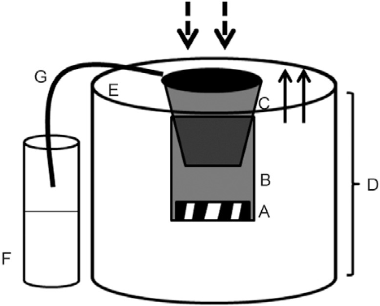 Diagram of the BG-Sentinel trap. A: electrical fan; B: collecting
tube; C: collecting bag; D: main trap body; E: lid; F: Styrofoam
bottle; G: silicon tube. The arrows indicate the direction of the
airflow. Adapted from KrÃ¶ckel et al. (2006).