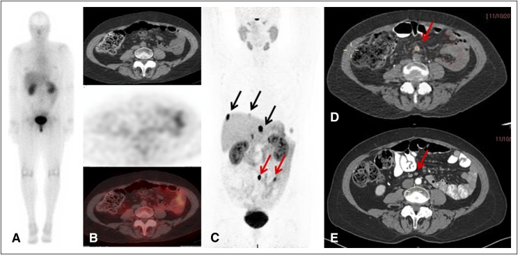 Fig 2.