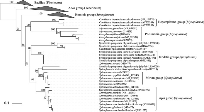 FIG 3