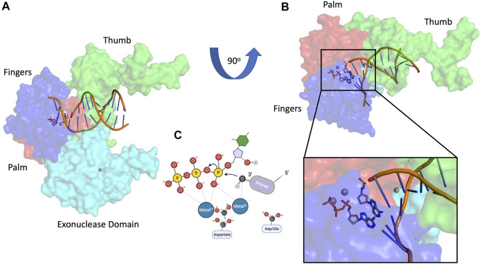 FIGURE 1