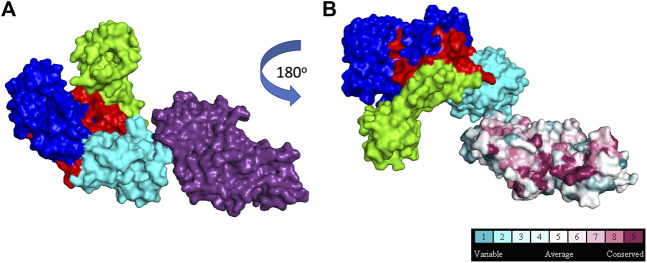 FIGURE 4