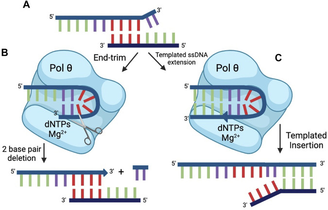 FIGURE 6