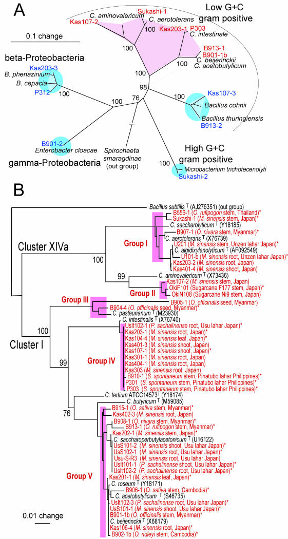 FIG.3.