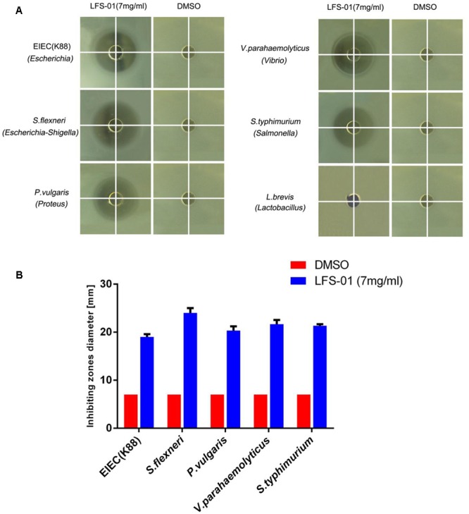 FIGURE 3