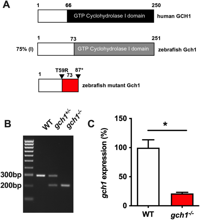 Figure 1.