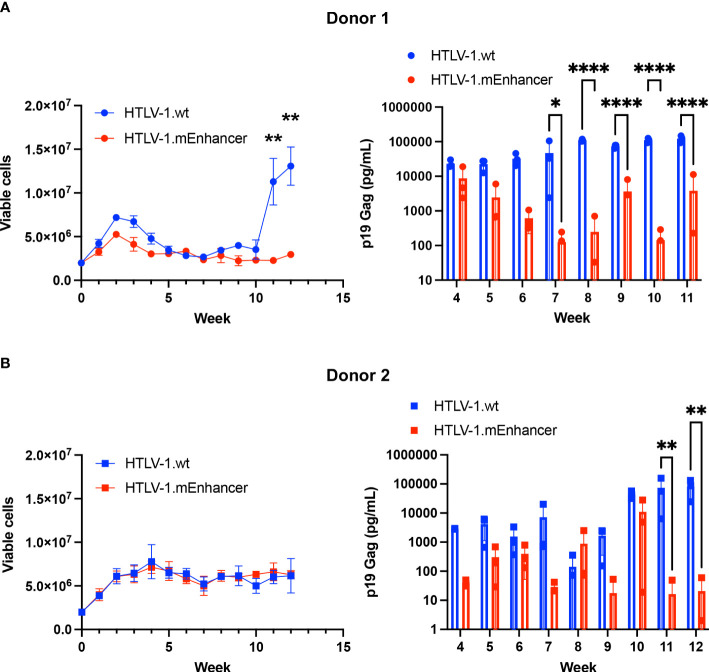 Figure 6