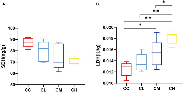 Figure 4