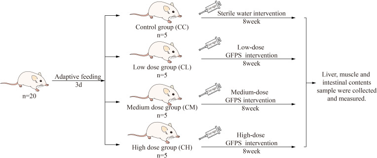 Figure 1